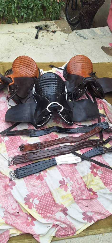 فروش لوازم سوارکاری ایزیرتو در بوکان